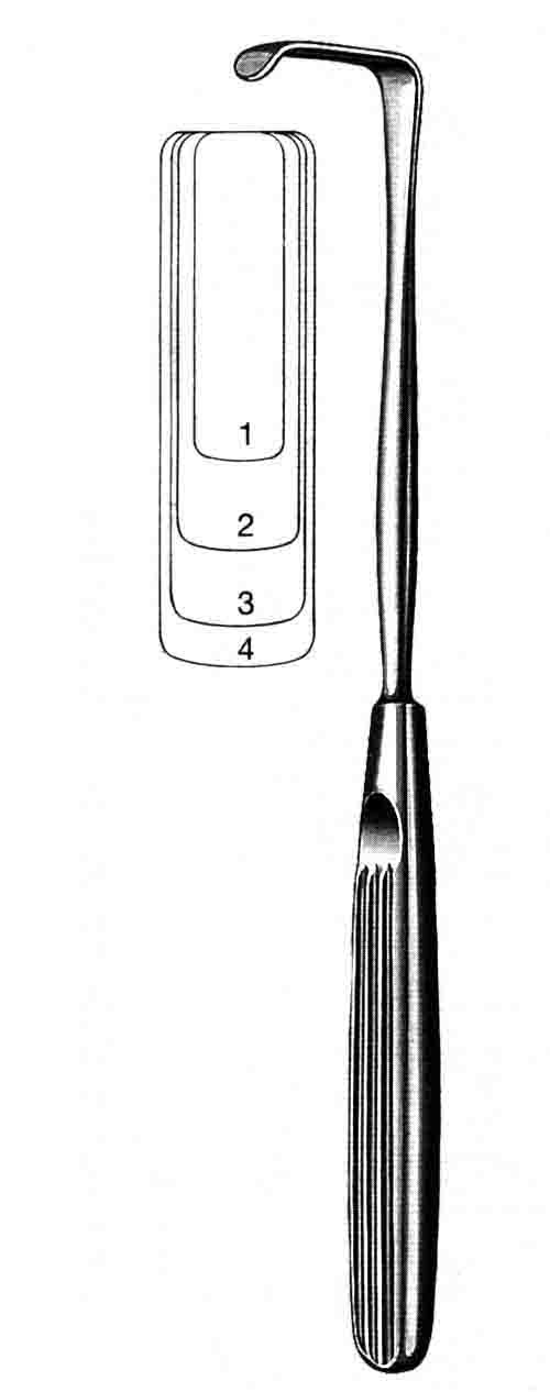 LANBECK EKARTÖR 22CM